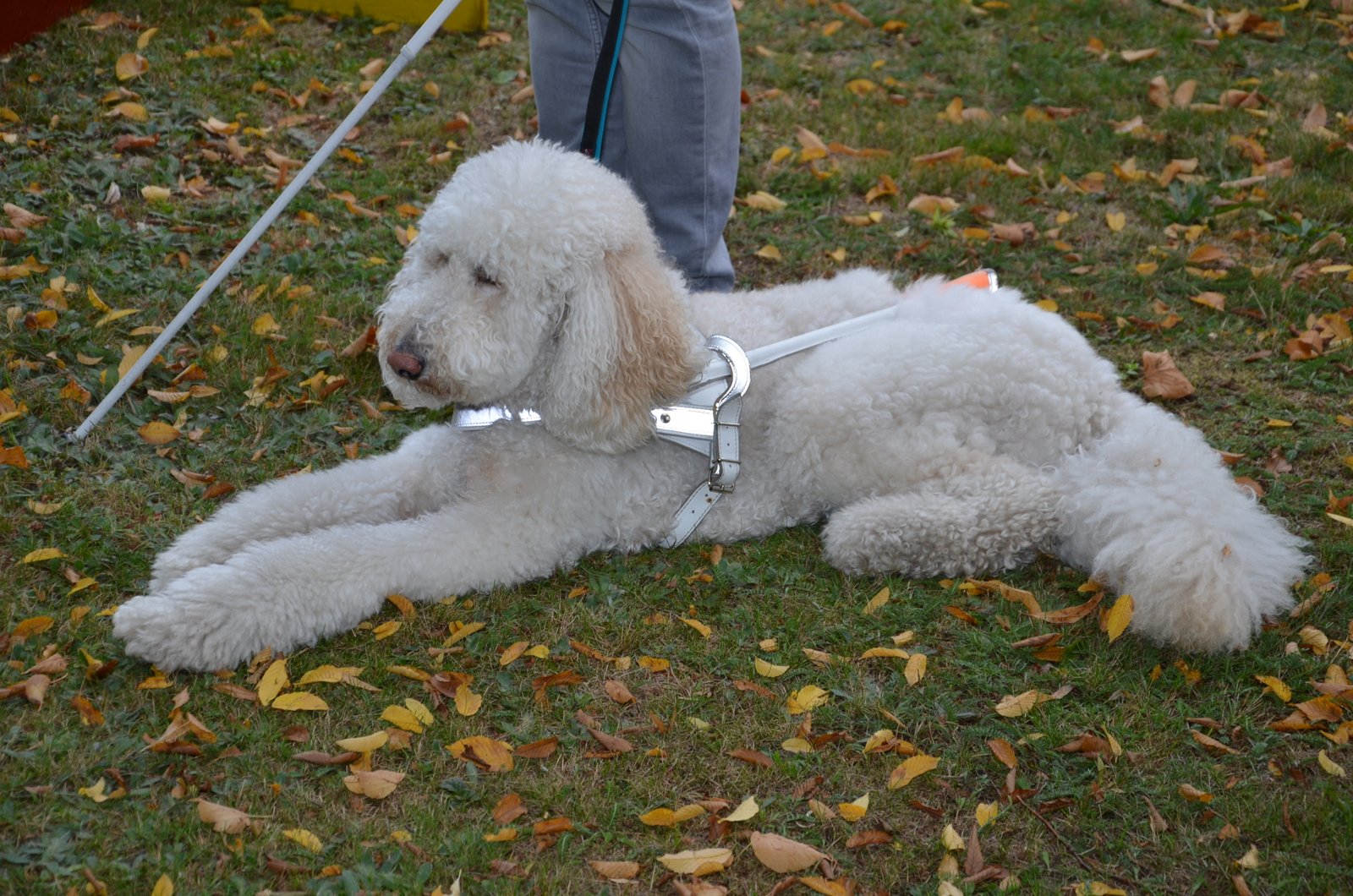 Erntedank und Dank f�r die Sinne - Aktion in Lo�burg