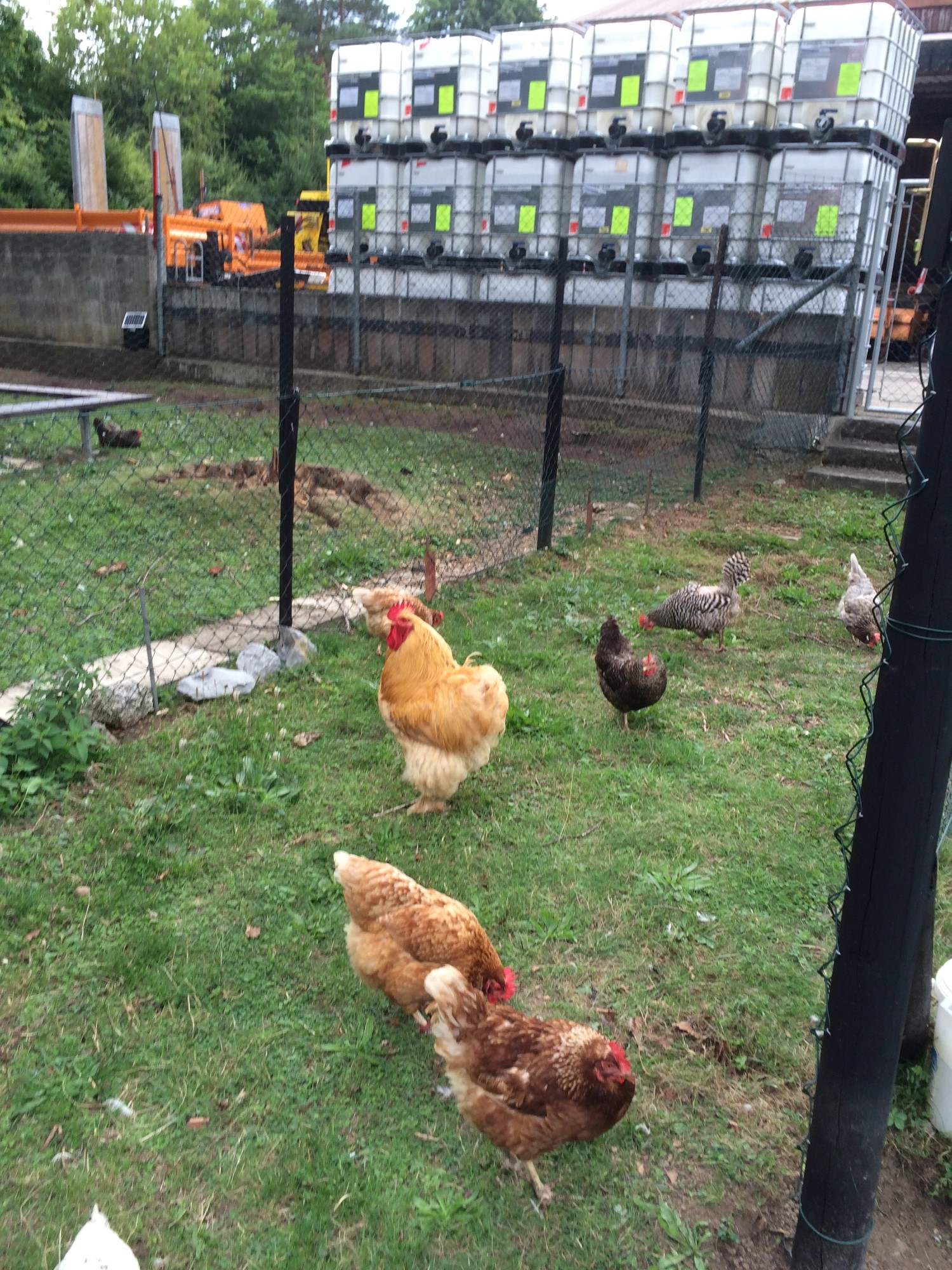 Impressionen aus der Tier-Oase