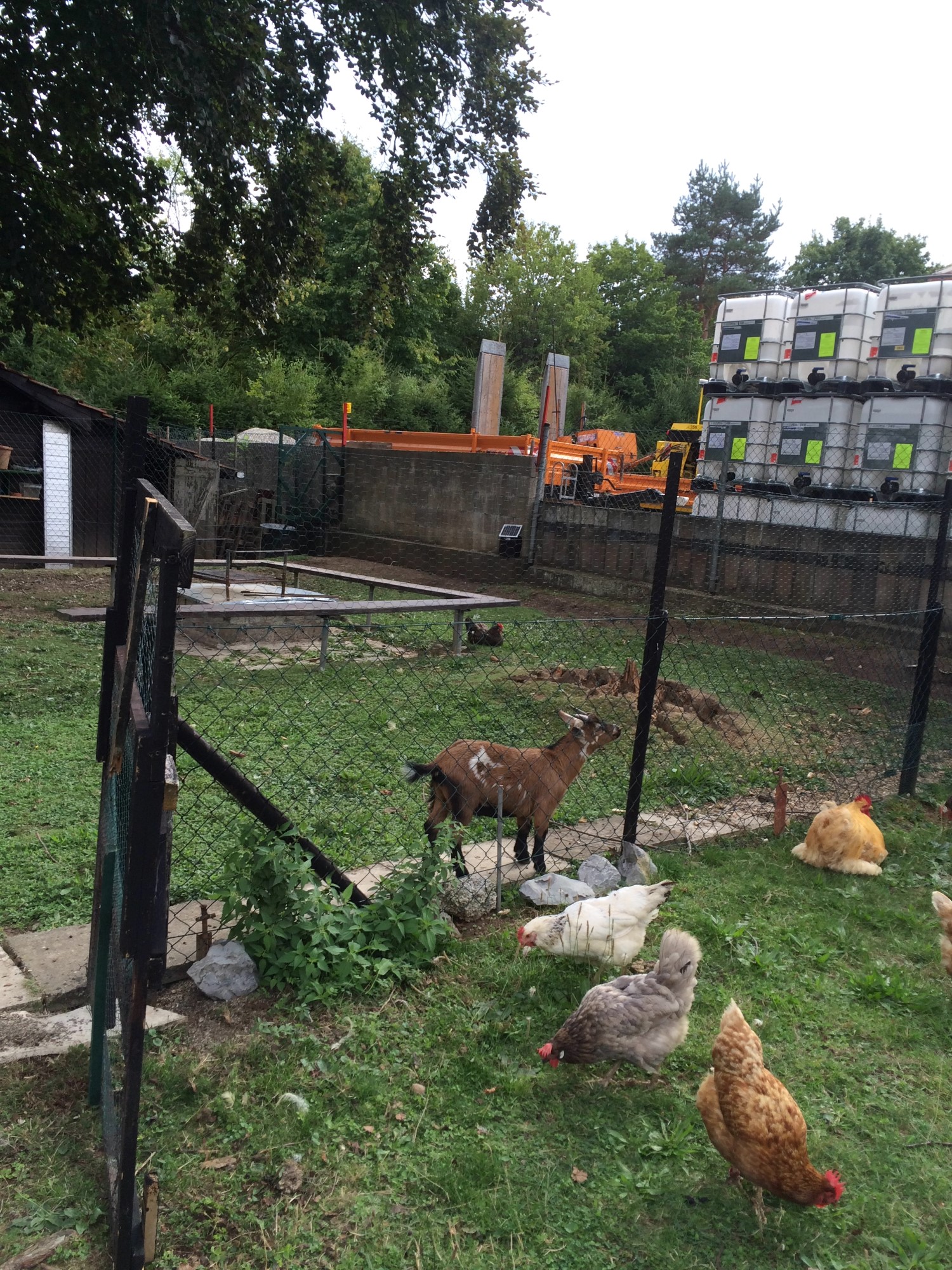 Impressionen aus der Tier-Oase