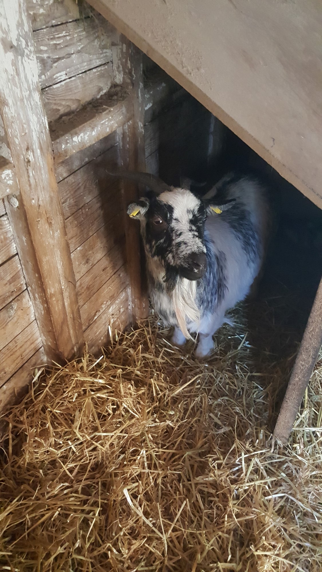 Impressionen aus der Tier-Oase