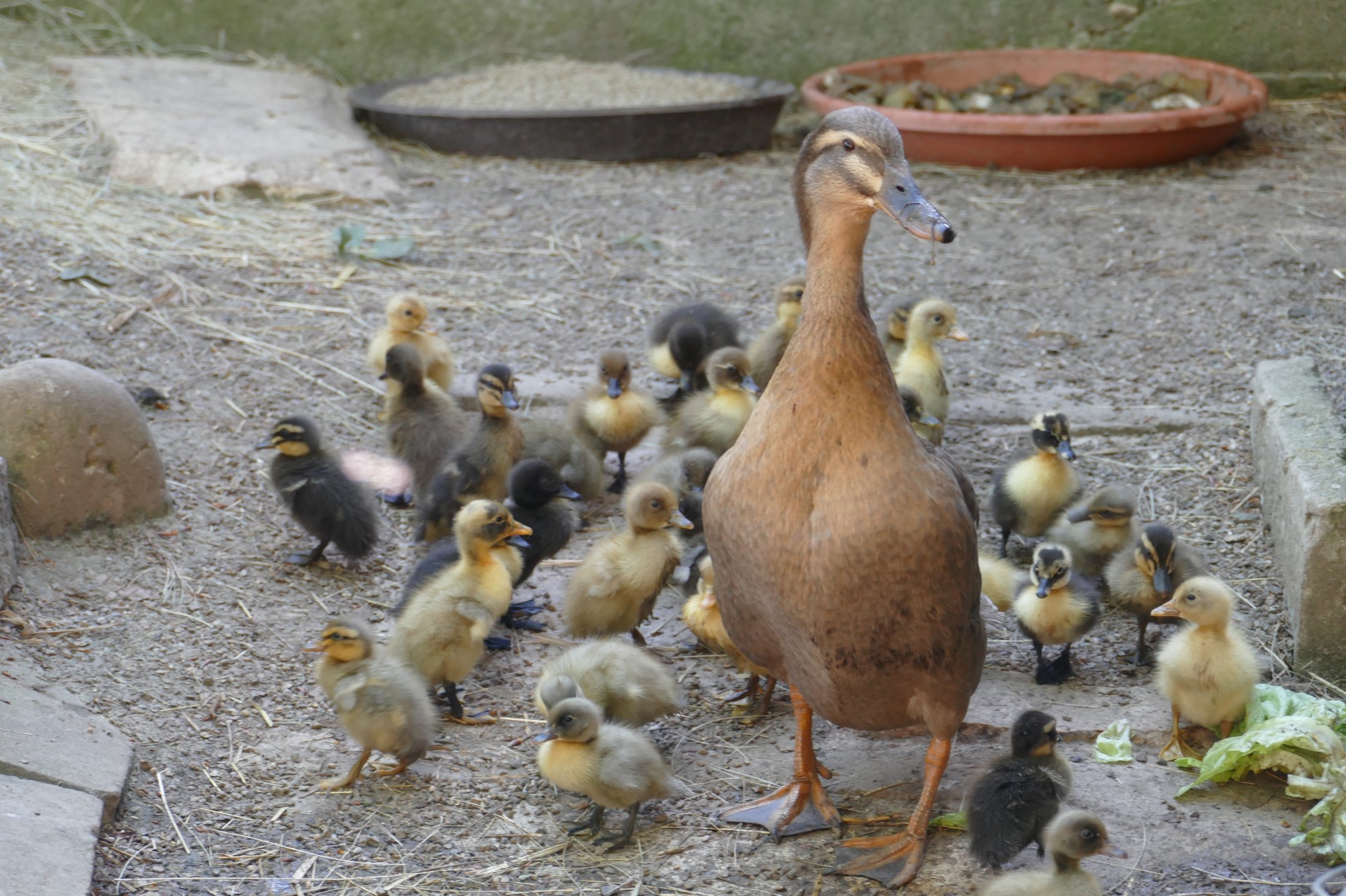 Impressionen aus der Tier-Oase