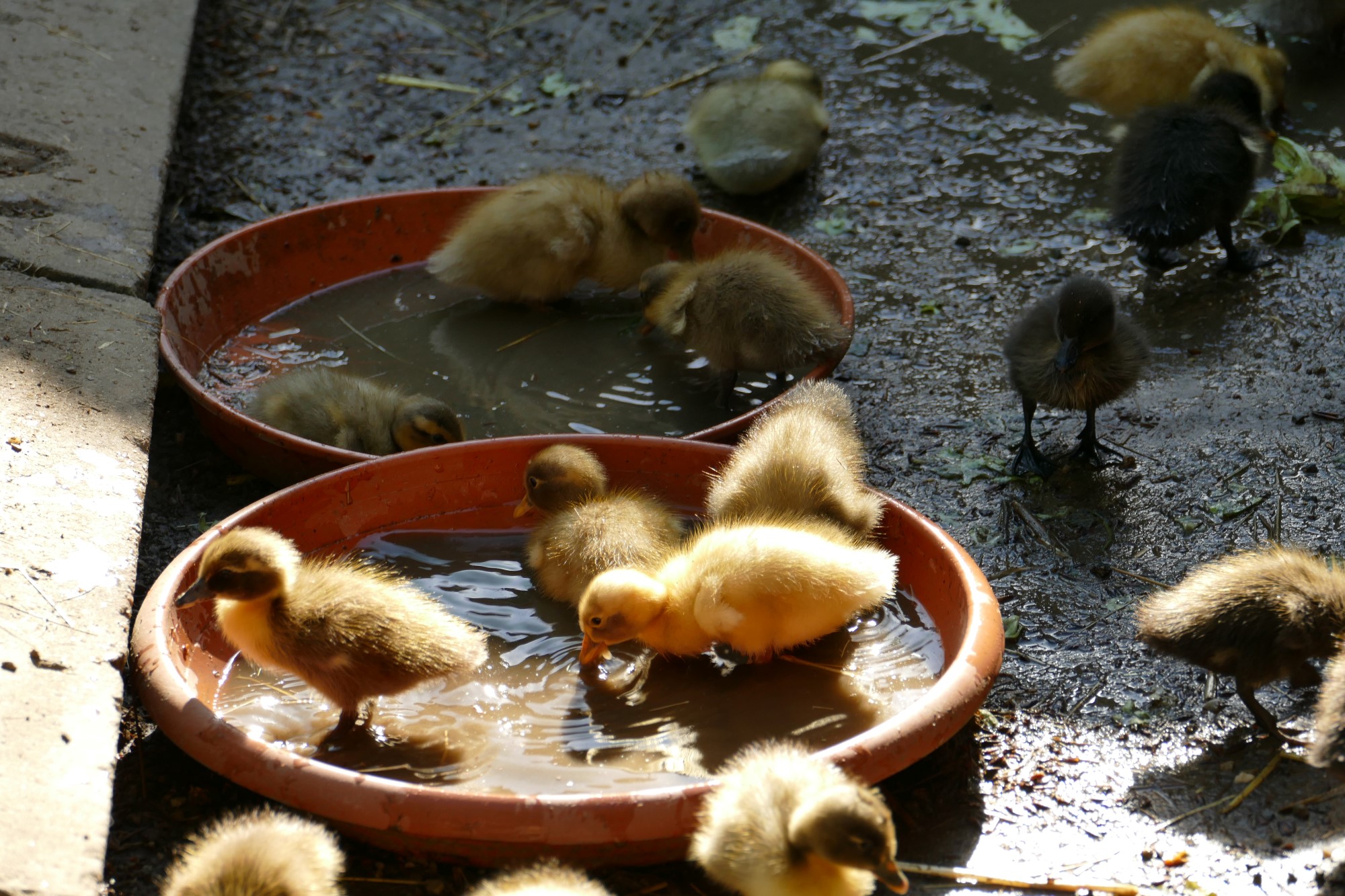 Impressionen aus der Tier-Oase