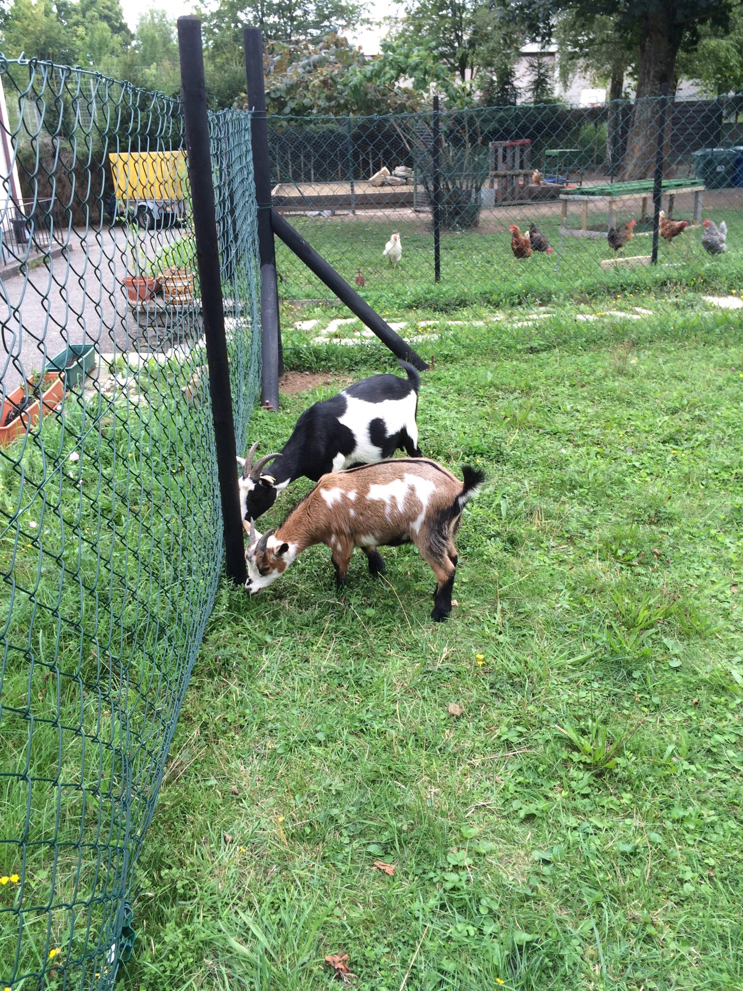 Impressionen aus der Tier-Oase