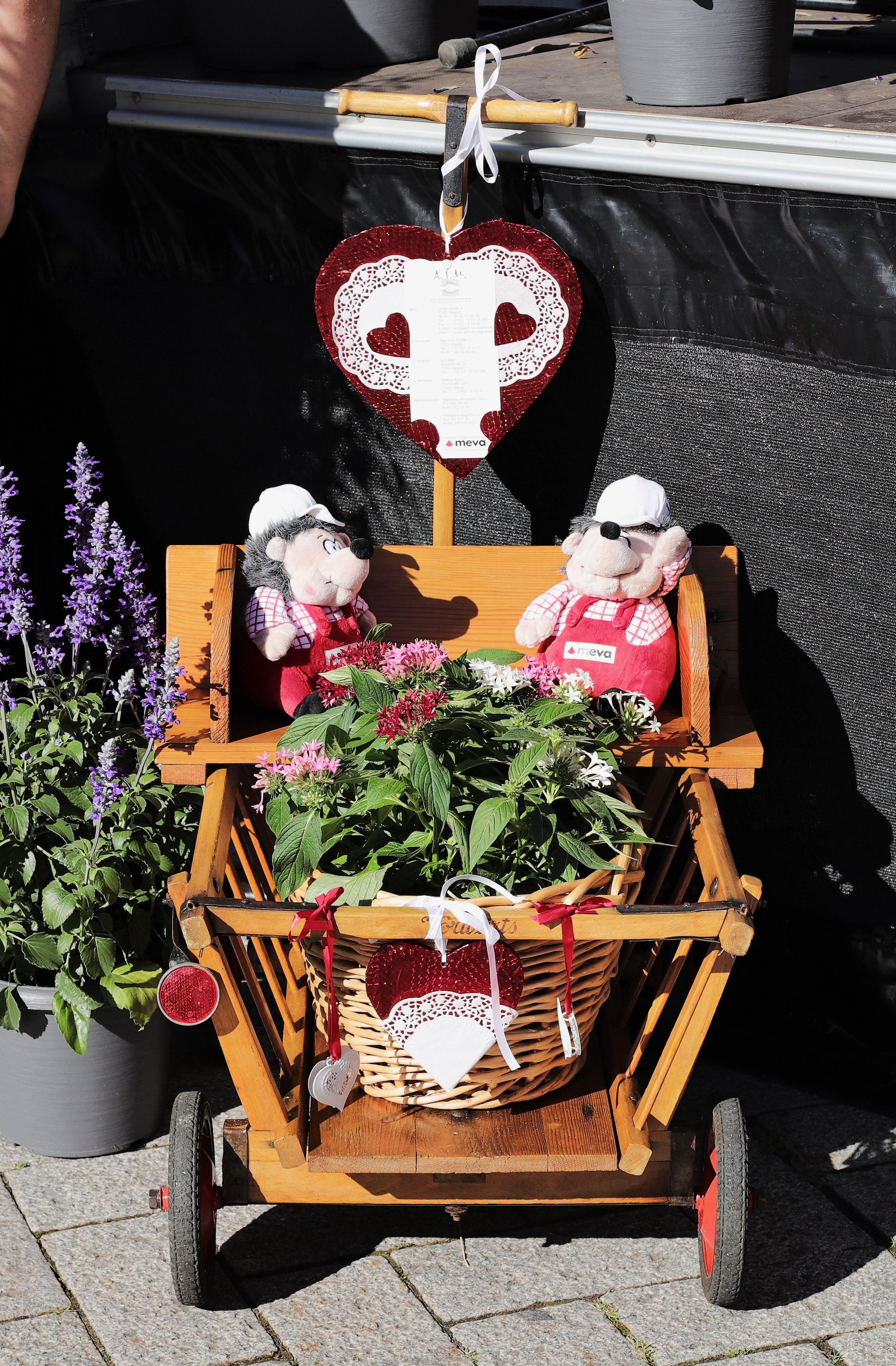 Impressionen vom 9. Tag der Begegnung