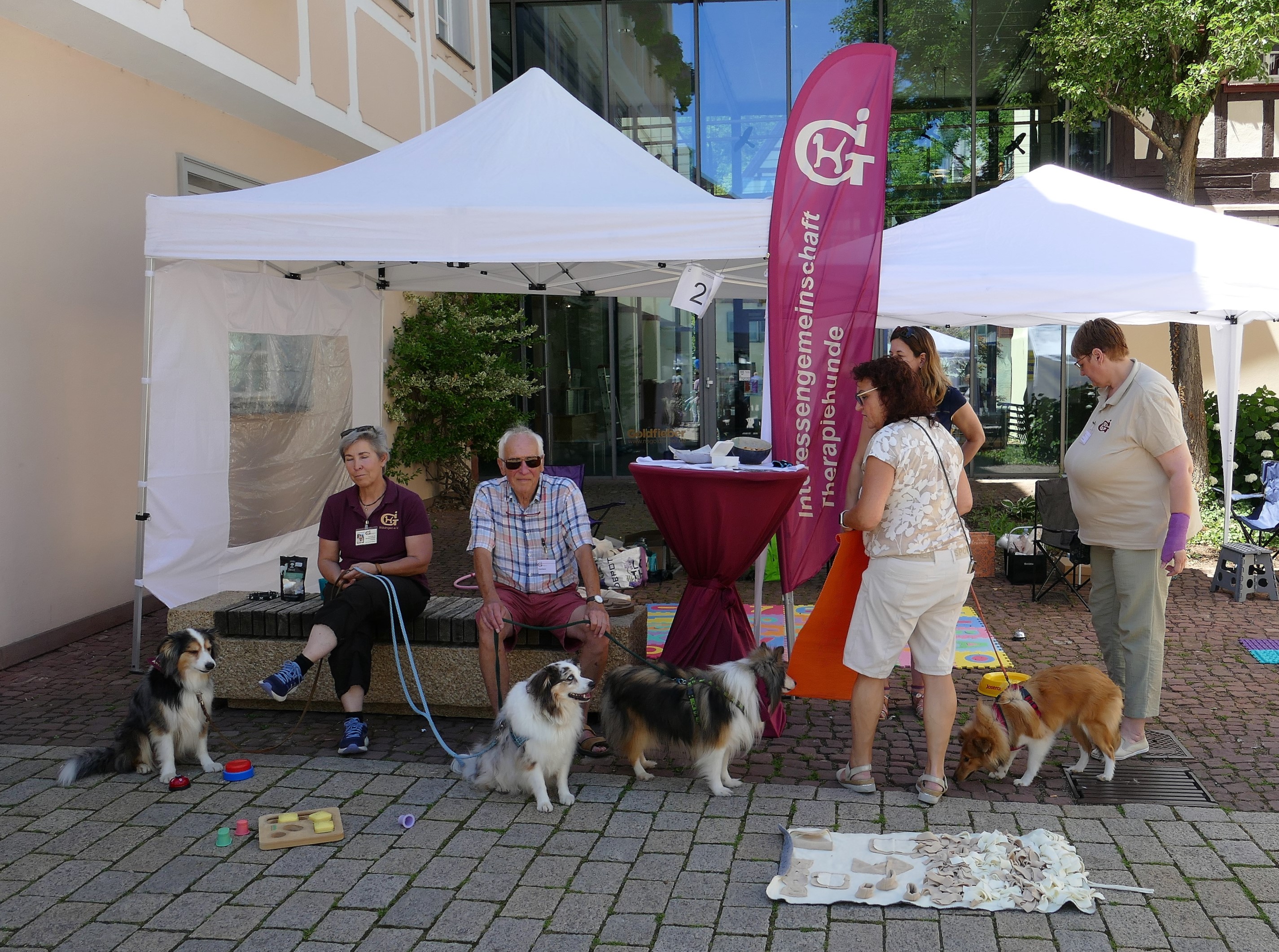 Impressionen vom 9. Tag der Begegnung